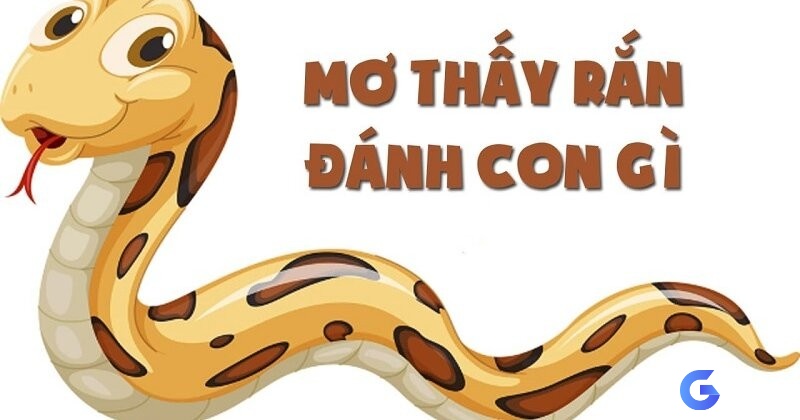 Đáp án nằm mơ nhìn thấy rắn đánh đề con gì