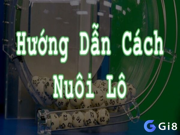 Những hình thức nuôi lô khung phổ biến và hiệu quả nhất