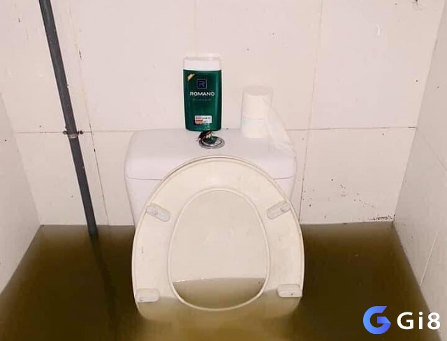 Giải mã giấc mơ thấy nhà vệ sinh phụ thuộc vào tình tiết xảy ra