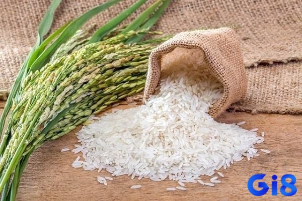 Mơ thấy gạo đánh đề con gì để ăn chắc mặc bền? Chiêm bao thấy gạo triển liền con số 19