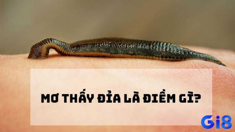 Giải mã giấc mơ thấy đỉa bám vào chân là điềm báo gì?