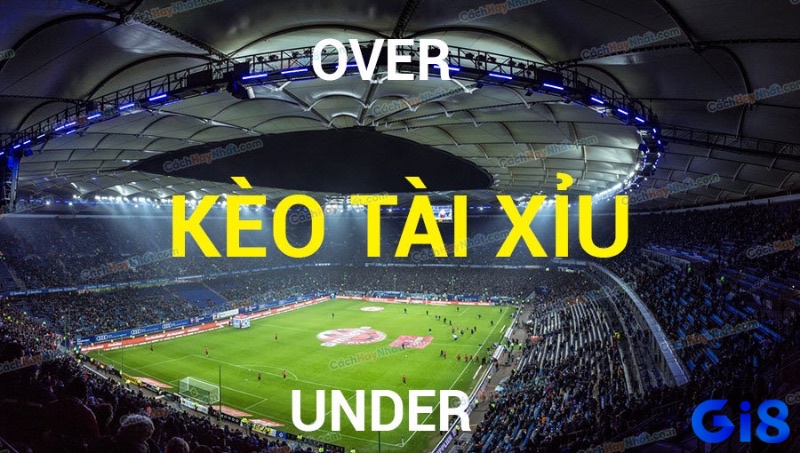 Hai cửa cược cơ bản trong Tài xỉu bóng đá: Tài (Over) và Xỉu (Under).