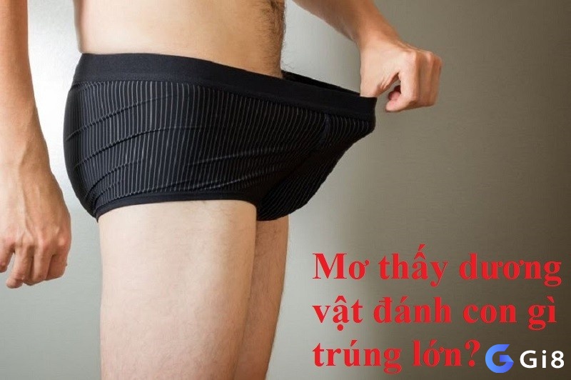 Mơ thấy dương vật đánh con gì giúp đề thủ phát tài phát lộc?
