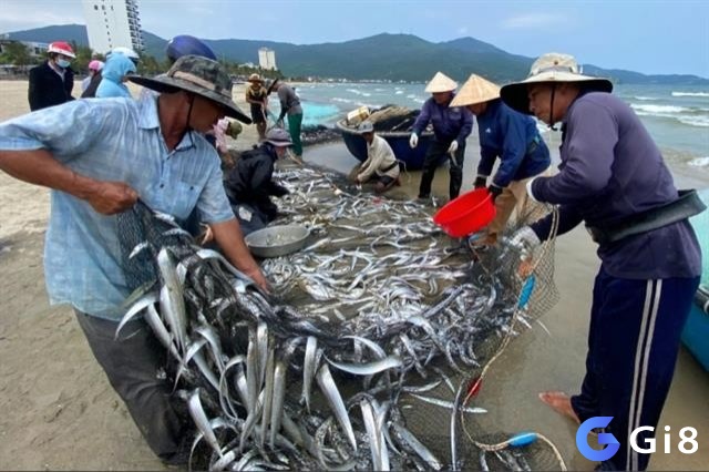Giấc mơ thấy kéo lưới bắt được nhiều cá là điềm báo về sự thành công trong kinh doanh của bạn